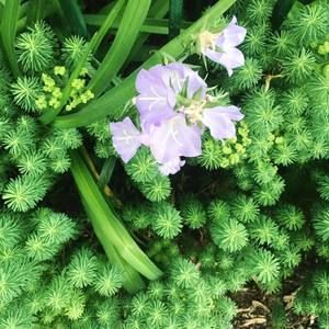 Meet your Posher, Julee